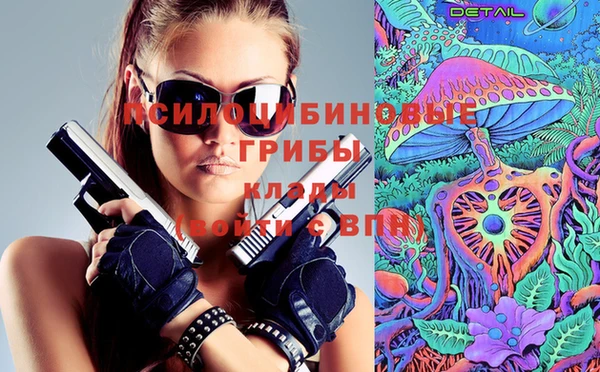 хмурый Нефтекумск