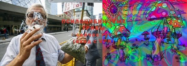 мескалин Новодвинск