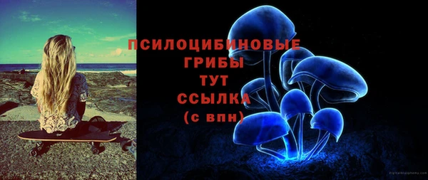 героин Новозыбков