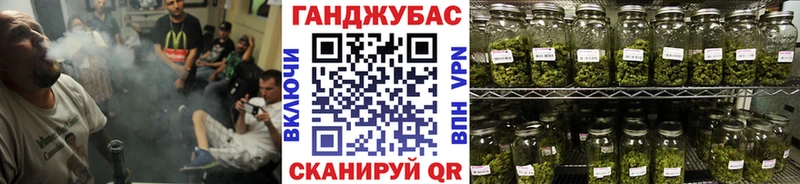 Шишки марихуана MAZAR  где купить наркоту  ссылка на мегу   Новоузенск 